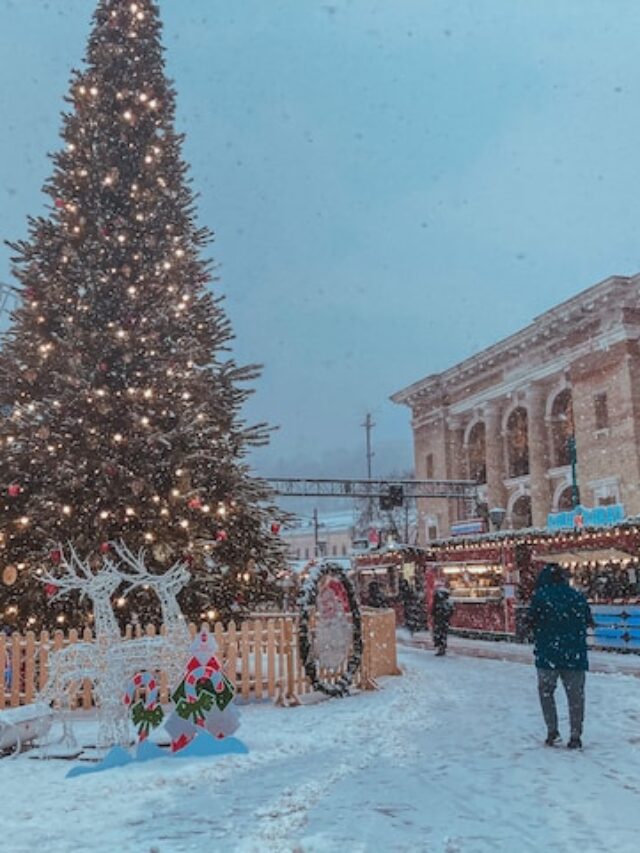 Wintery White Christmas Tree Ideas