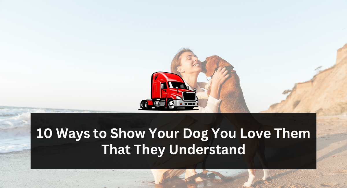 10 Ways to Show Your Dog You Love Them That They Understand